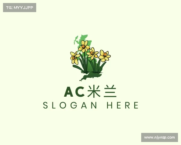 关于ac米兰